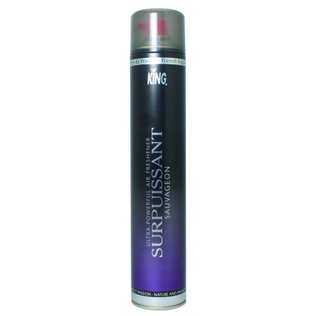 Désodorisant d'atmosphère senteur Surpuissant - Aérosol de 750ml