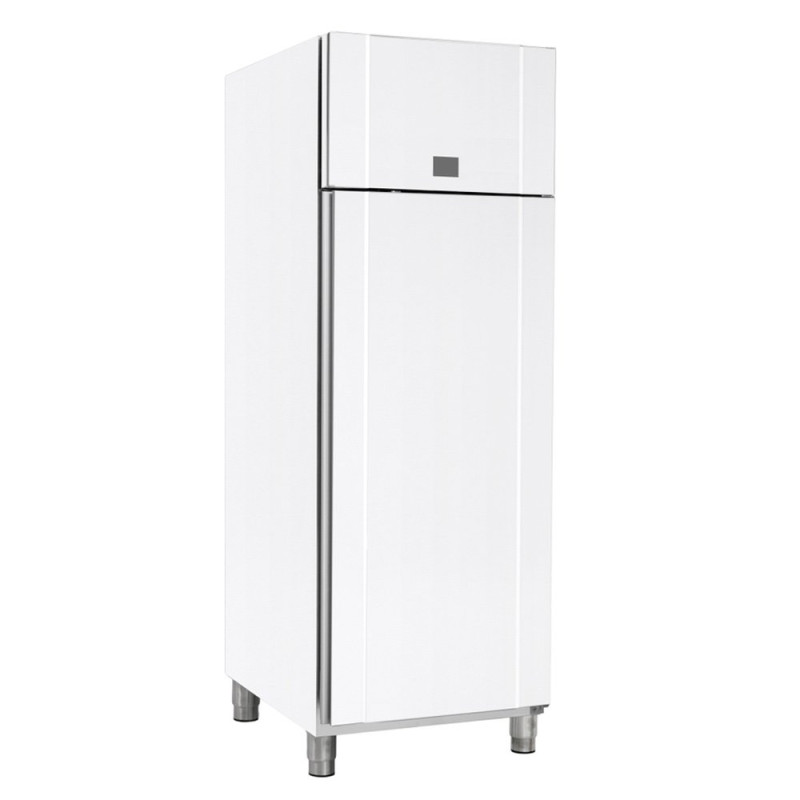 Armoire froide 460L négative - Froid ventilé -30° à -5°C - 1 porte pleine - 418W - Blanche - 230V mono - 600x855x2125  mm