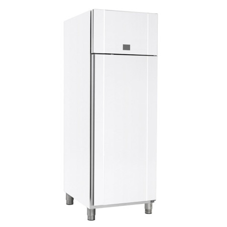 Armoire froide 460L négative - Froid ventilé -30° à -5°C - 1 porte pleine - 418W - Blanche - 230V mono - 600x855x2125  mm