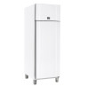 Armoire froide 460L négative - Froid ventilé -30° à -5°C - 1 porte pleine - 418W - Blanche - 230V mono - 600x855x2125  mm