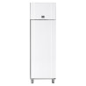 Armoire froide 460L négative - Froid ventilé -30° à -5°C - 1 porte pleine - 418W - Blanche - 230V mono - 600x855x2125  mm