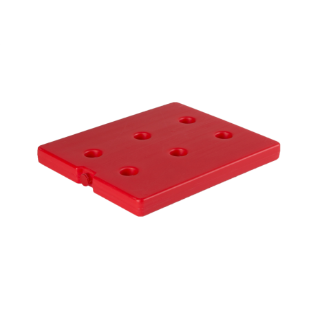 Plaque eutectique GN 1/2 chaude