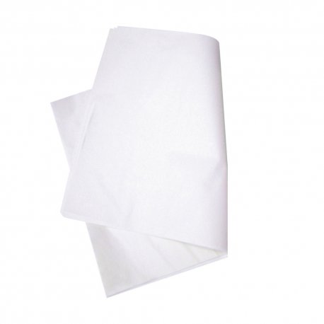 Papier boucherie ingraissable traité WS 25x35 cm blanc au kilo