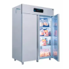 Armoire réfrigérée GN 2/1 1400L négative  -20 à -12°C