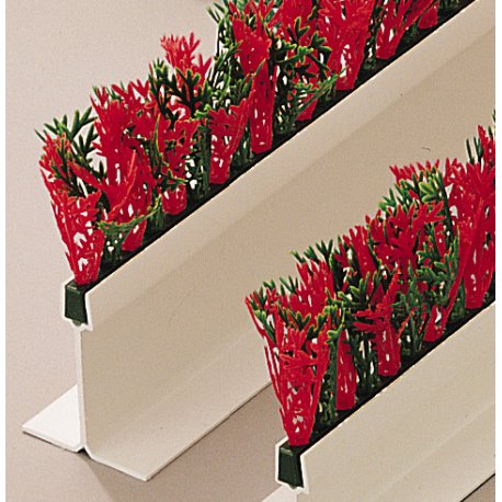 Séparateur vitrine - Cyprès bicolore - Socle blanc