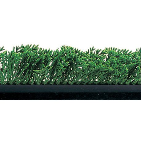 Séparateur vitrine - Cyprès vert - Socle noir