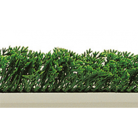 Séparateur de vitrine - Cyprès vert - Socle blanc