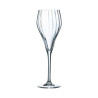 Flûte 16 cl Symétrie ø 6,5x19,8 cm en Krysta