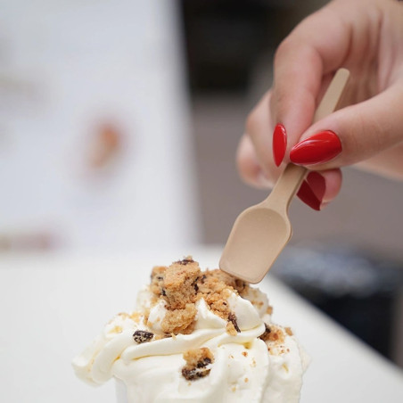 Cuillère à glace 9,5 cm - Fibre de canne - Réutilisable 100 fois