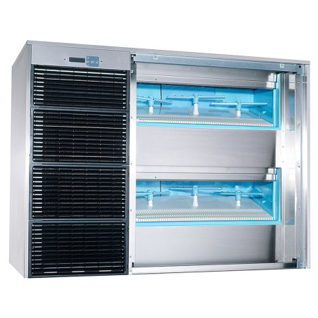 Tête de production GALA - 385kg/24H - Inox AISI-304 - Refroidissement AIR - Glaçons 30g - Compresseur 5 cv