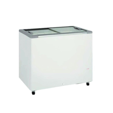 Congélateur horizontal - Couvercle vitré - Température : –24°C à –16°C - 253L - Gaz R290