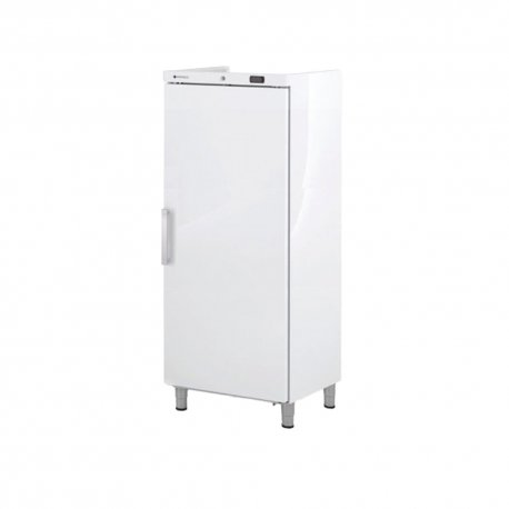 Armoire ABS GN2/1 négative 1 porte