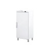 Armoire négative -20°/-15°C  495L - 1 porte - Intérieur ABS Extérieur blanc Thermostat réglable - 2 clayettes GN2/1