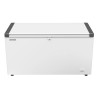 Conservateur coffre 404L - capacité de 6 paniers (2 inclus) - 1465x680x825 mm