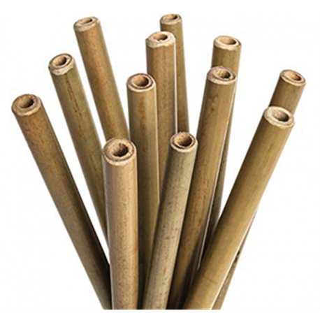 Boîte de 24 pailles bambou - 100% recyclable - Ø10/12 mm - 20 cm