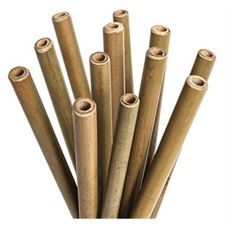 Paille bambou - 100% recyclable - Ø10/12 mm - 20 cm