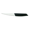 Couteau à steak Evolutions - inox - lame dentelée - Lg 11 cm manche polypropylène