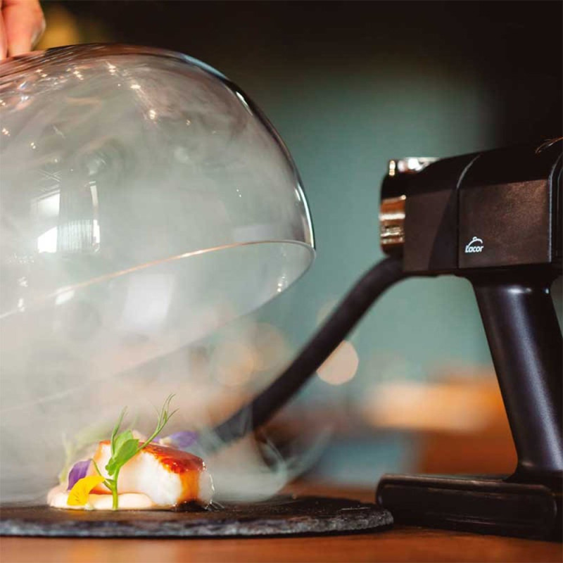 Fumoir pour aliments "Instant"