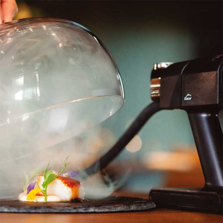 Fumoir pour aliments "Instant"