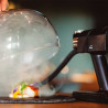 Fumoir pour aliments "Instant"