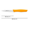 Couteau d'office lame lisse - Manche polypropylène orange - 10 cm