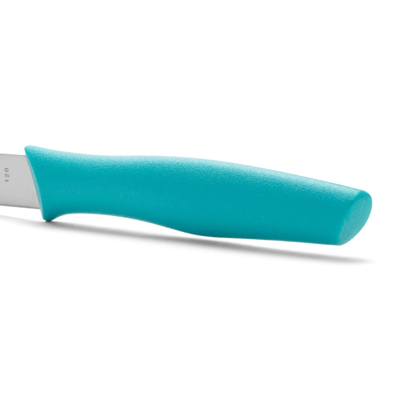 Couteau d'office lame lisse - Manche polypropylène turquoise - 10 cm