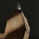 Fourchette de table Callas - inox 18/10 - Ep 3,5 mm - Finition miroir