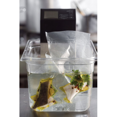 Thermoplongeur 40L basse température 5 à 99°C - 6L par min. - 1500W 220/240 mono