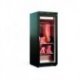 Armoire de maturation de viande noire -2° à +8°C - 230V mono - 240L - 556W - 600x650x1545 mm