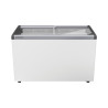 Conservateur à crème glacées / surgelés - 369L - capacité 21 bacs de 2,5L - 200W - 1255x661x825 mm