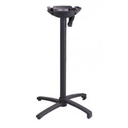 Pied de mange-debout