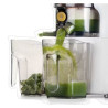 Extracteur de jus 500ml ultra silencieux à rotation lente 240W 230V mono - 2 bols de 1L inclus