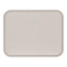 Plateau Basik gris fumé en polyester - 46x36 cm